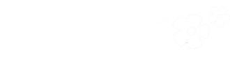 Breza Complementos